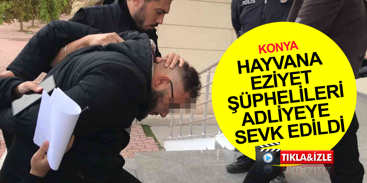 Konya’da barınakta köpeğe eziyet edenler için hesap zamanı! Adliyeye sevk edildiler