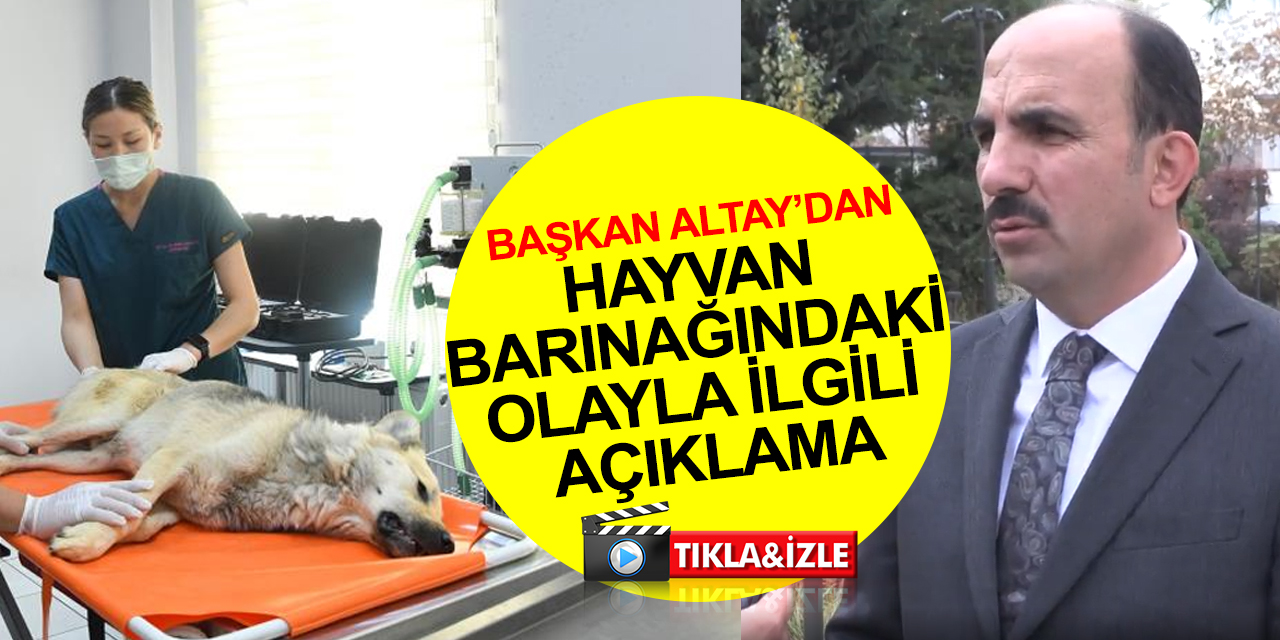 Konya BB Başkanı Altay’dan hayvan barınağındaki olayla ilgili açıklama! Türkiye’ye örnek olduğumuz bir konu! Takipçisi olacağız