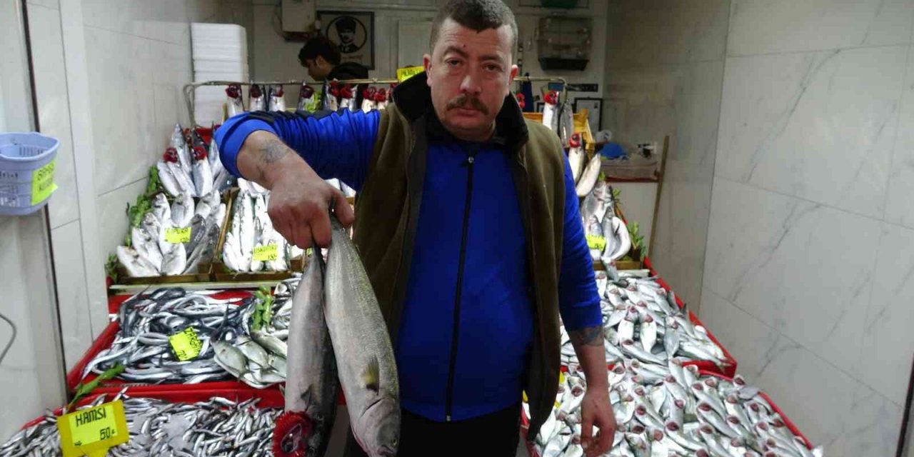 Lüfer ve palamut cep yakıyor