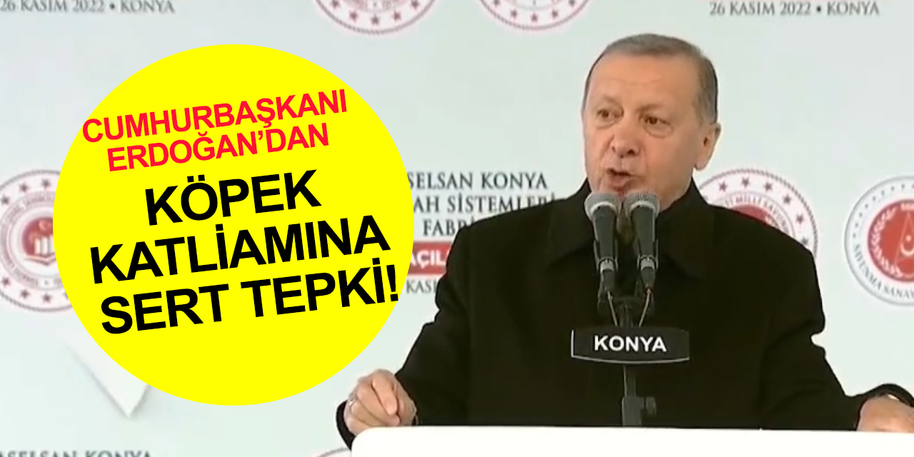 Cumhurbaşkanı Erdoğan'dan Konya'daki barınakta köpeğe eziyet görüntülerine sert tepki!