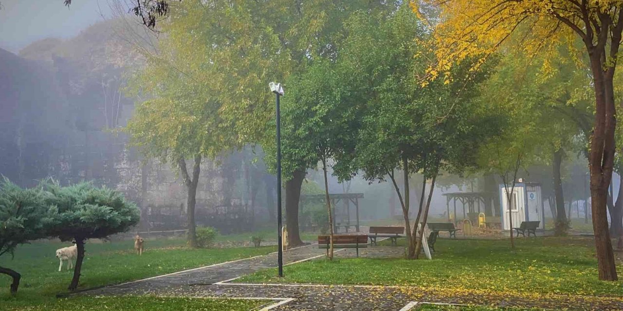 Diyarbakır’da yoğun sis tarihi ilçede görsel şölen oluşturdu