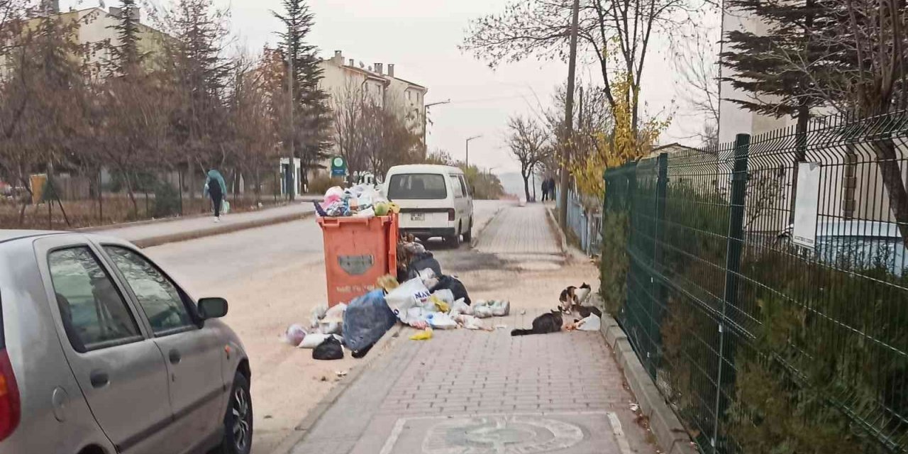 Odunpazarı’nda konteynerden taşan çöpler kaldırımı kapladı