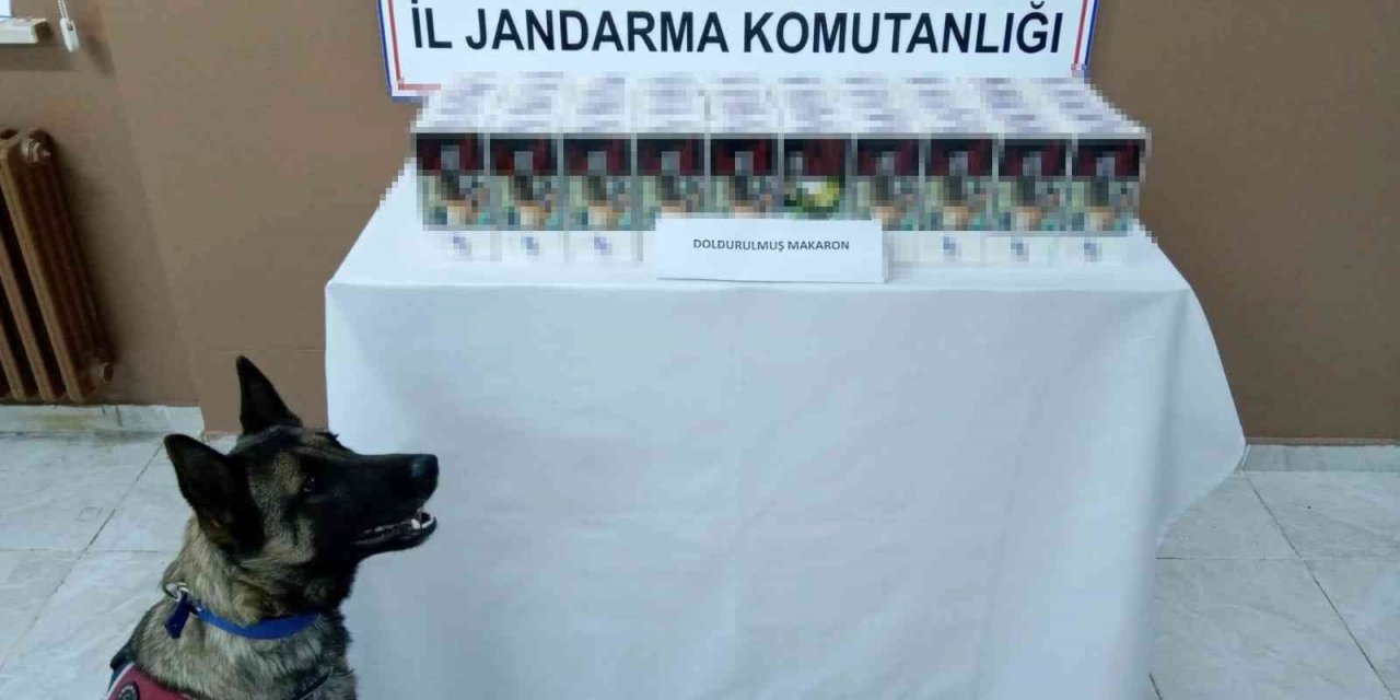 Yolcu otobüsünün bagajından 10 bin adet doldurulmuş makaron yakalandı