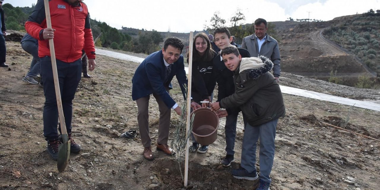Muğla’da ’Dünya Zeytin Günü’ kutlandı