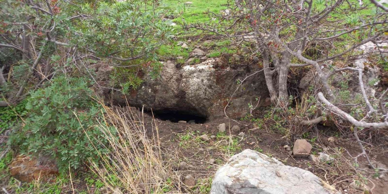Bodrum’da kaçak kazıya baskın: 2 gözaltı
