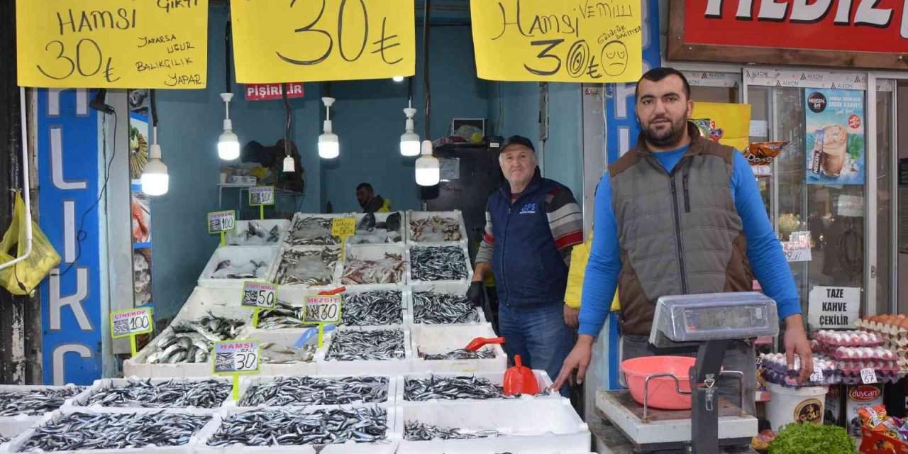 Ordu’da tezgahlarda hamsi bolluğu: Fiyatı 30 liraya düştü