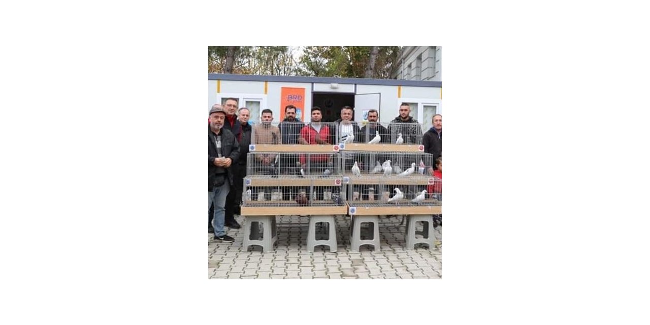 2022’nin en güzel dolapçı güvercinleri belirlendi