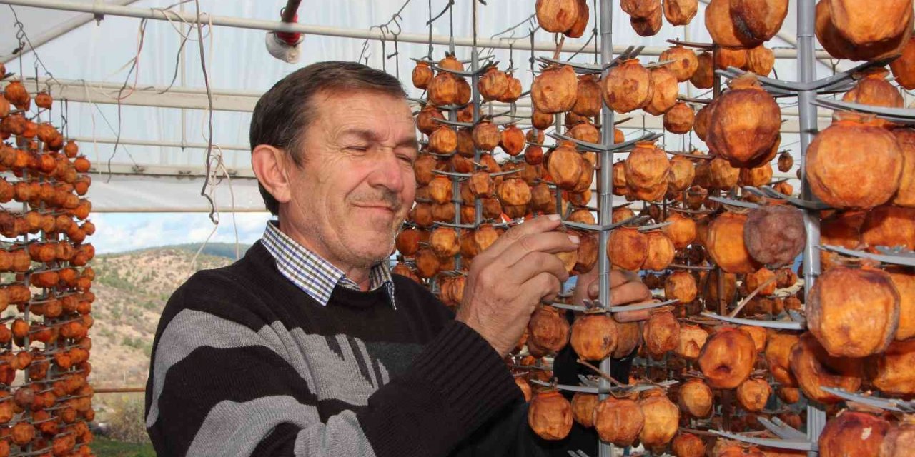 Kurutmaya bıraktıkları cennet hurmalarına adeta çocuk gibi bakıyorlar
