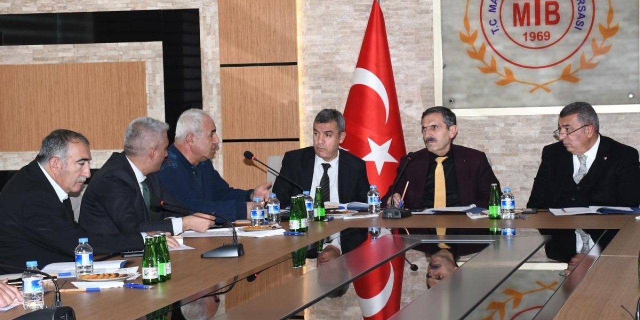 Kayısıda yeni pazar yeri arayışı