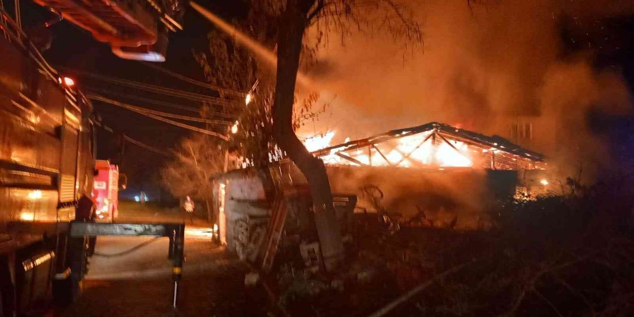 Evde çıkan yangın ahır ve samanlığa sıçrayınca 7 küçükbaş hayvan telef oldu