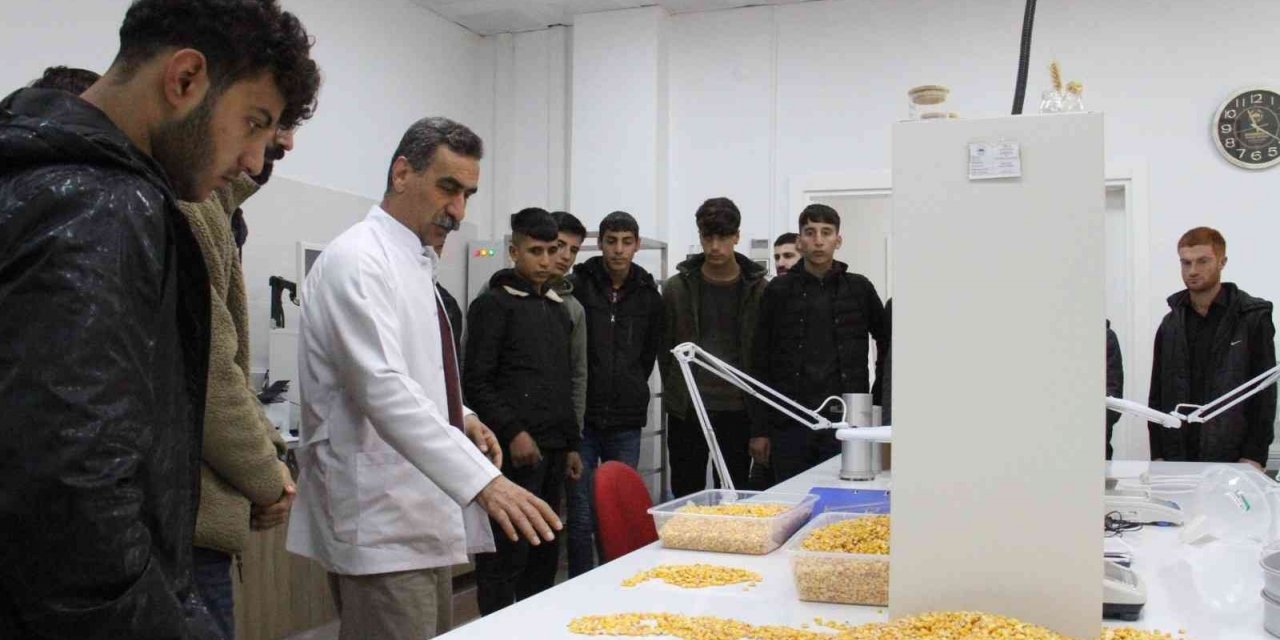 Diyarbakır’da meslek lisesi öğrencileri yem, hububat ve un analizi yaptı