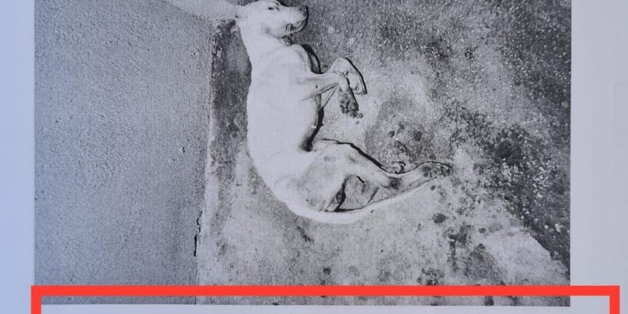 Skandal görüntülere ilginç savunma