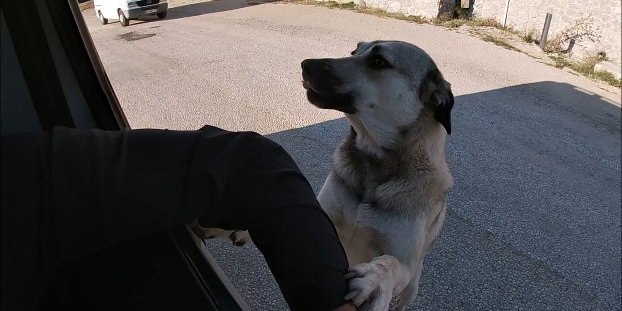 İnsanın içini ısıtan buluşma