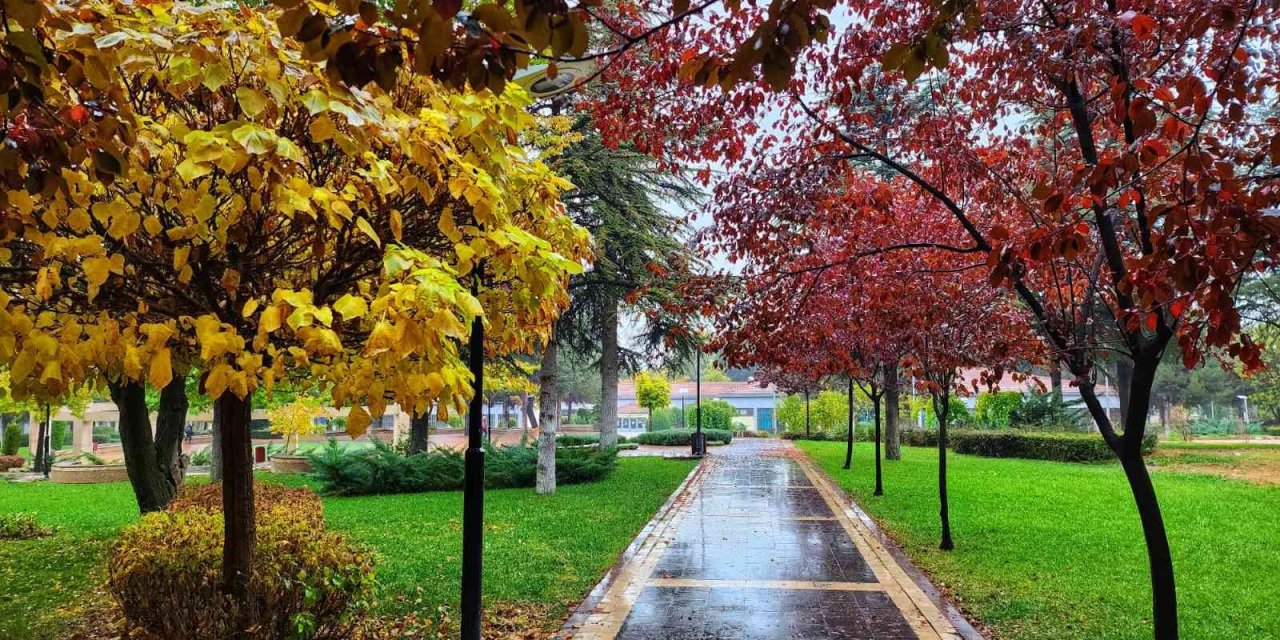 Kampüste sonbahar güzelliği