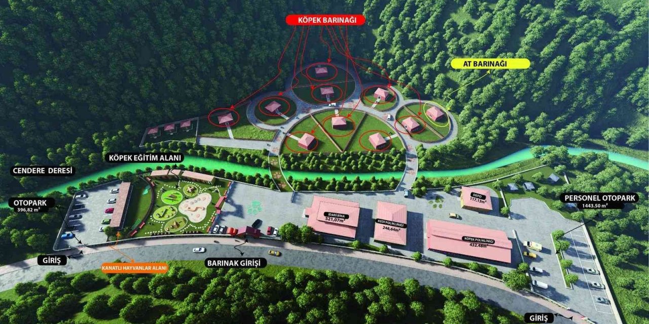 Başıboş hayvanlar için barınak projesi hazır