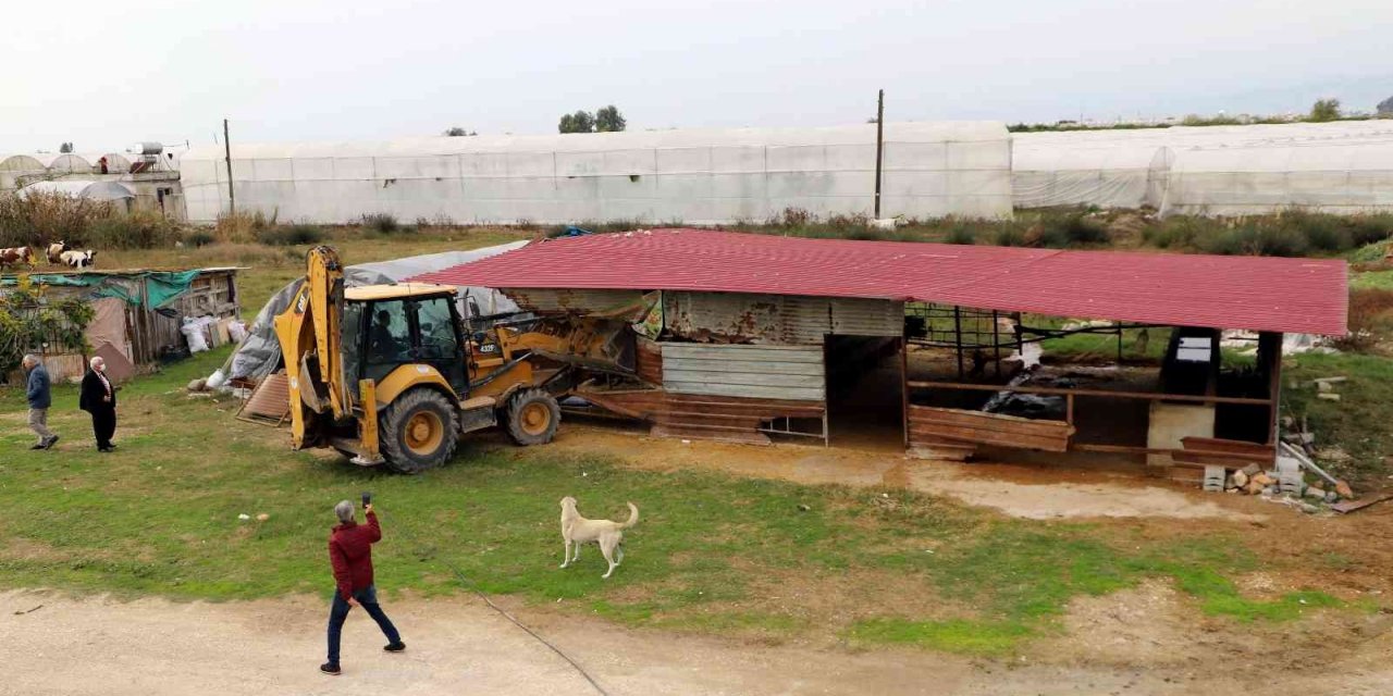 Akdeniz Belediyesi kaçak yapıları yıktı