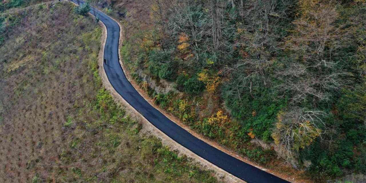 Altınordu’da sıcak asfalt çalışmaları sürüyor