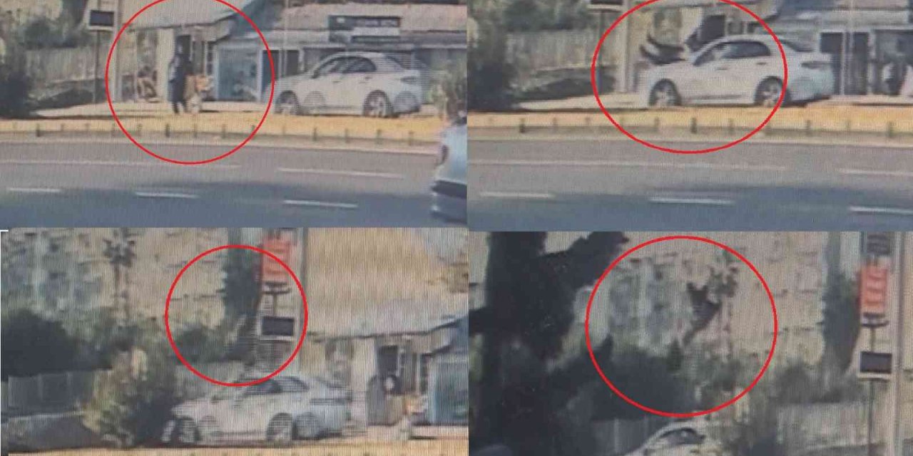 Otomobilin çarptığı yaya metrelerce havaya uçarak hayatını kaybetti
