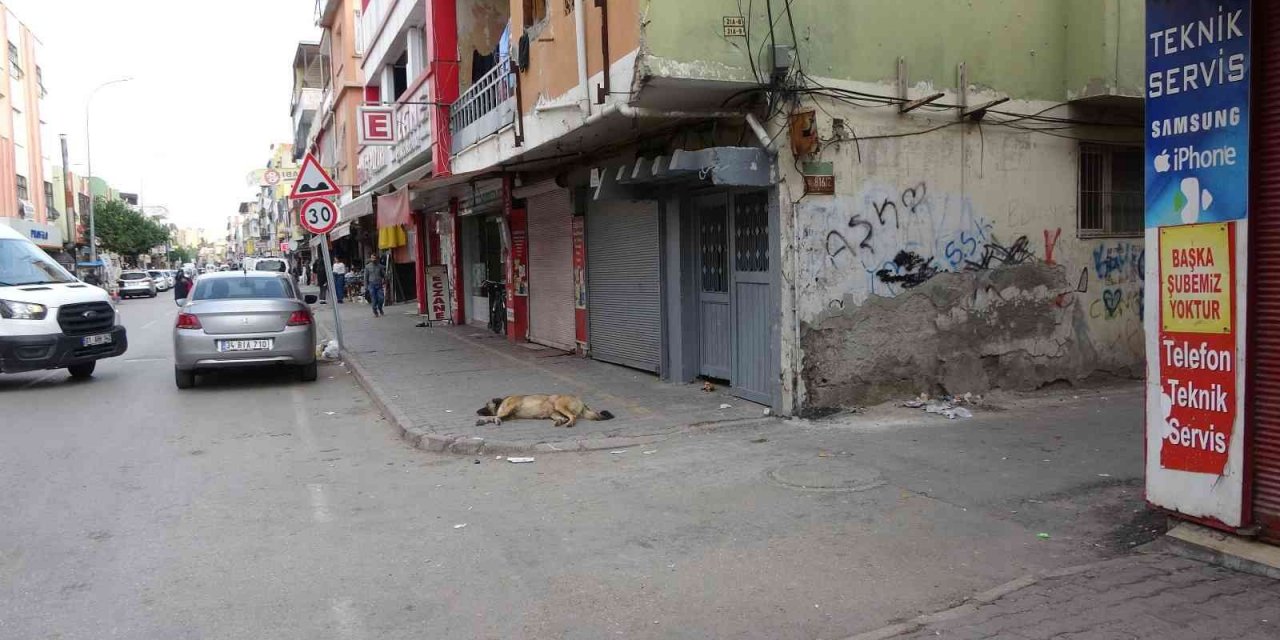 Motosikletli polis aracına çarptı, sürücünün havalanıp düşme anı kameraya yansıdı