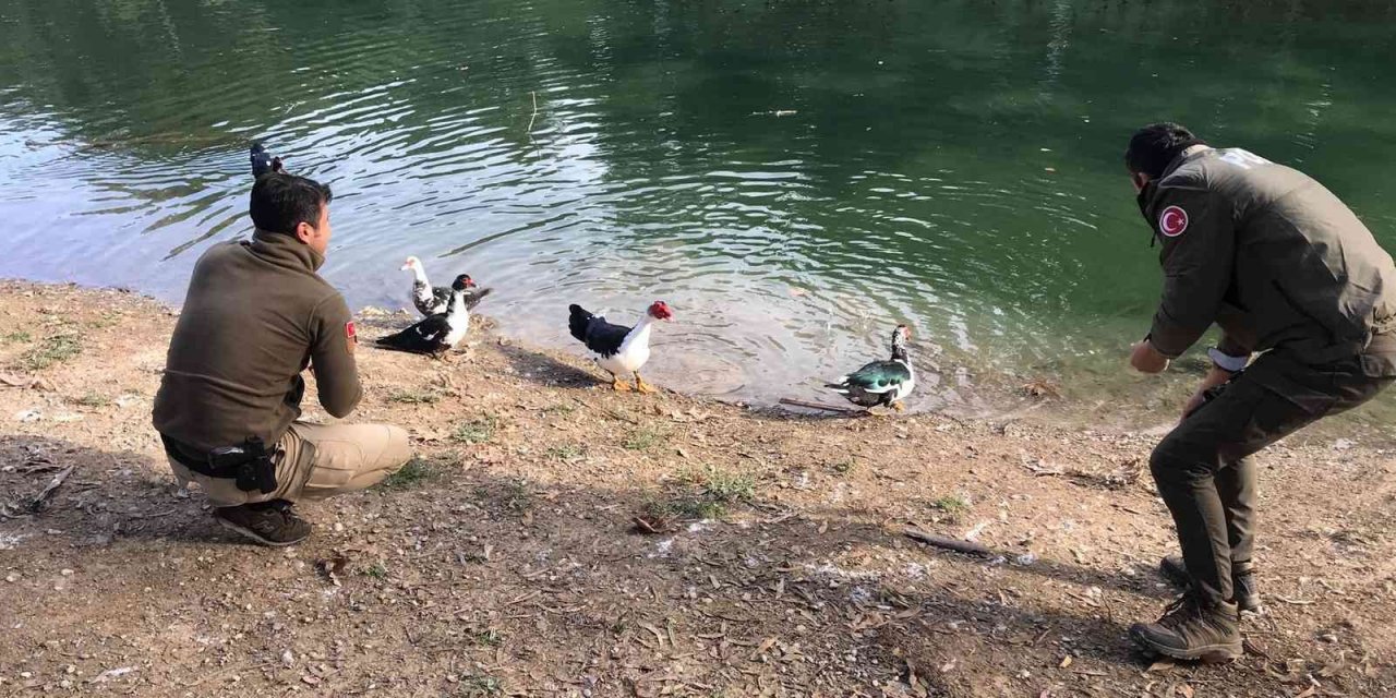 Mersin polisi soğuk kış günlerinde yaban hayvanlarını unutmuyor