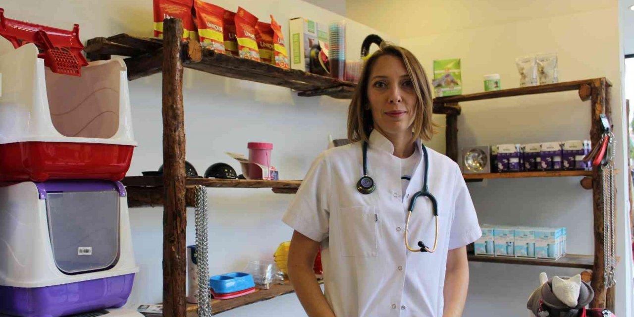 Köpeklerde bilinçsiz tırnak kesimine dikkat