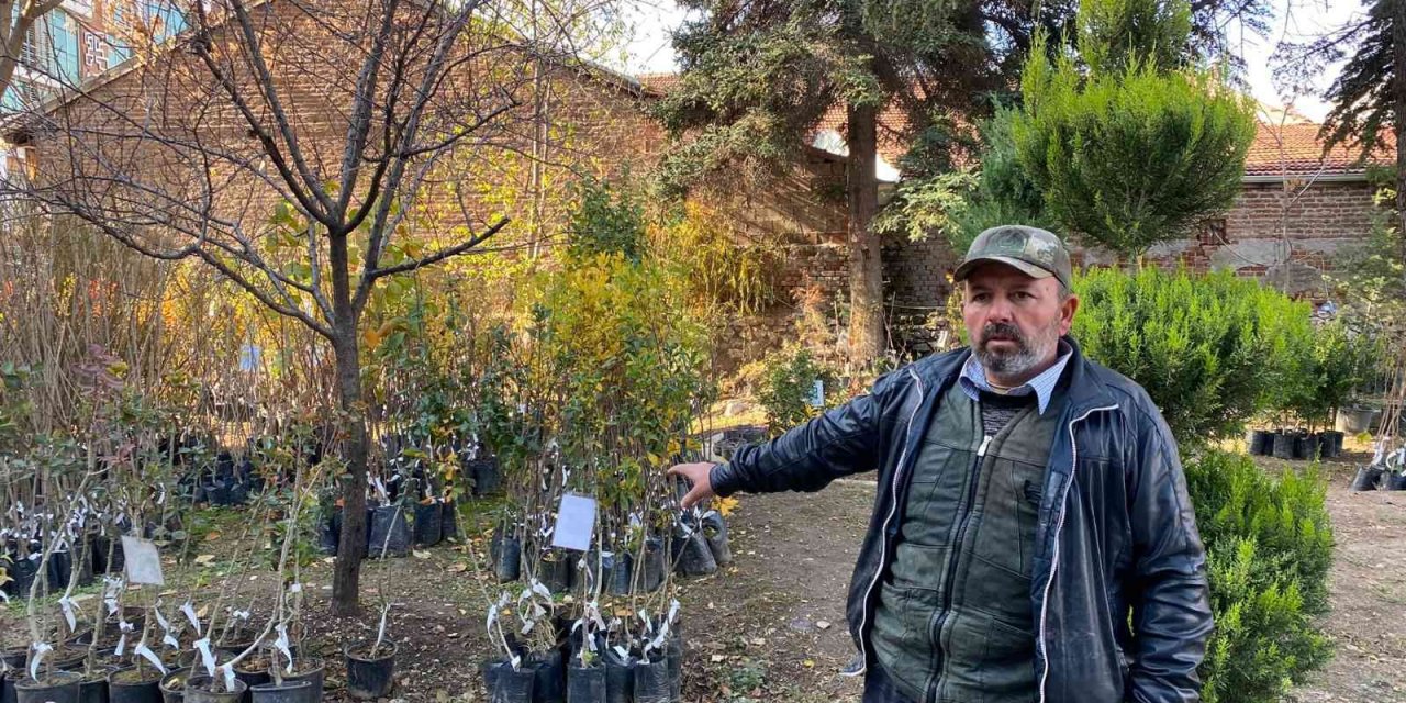 Soğuk havada revaçta olan fidanlar