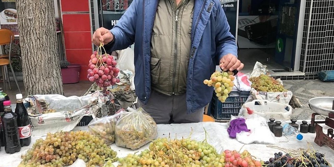 1000 rakımda yetişen üzüm, lezzetiyle damakları şenlendiriyor