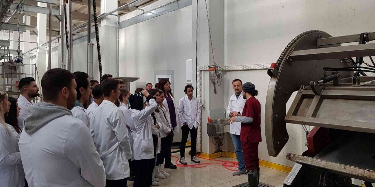 NEVÜ’lü  veteriner adaylarından Et Entegre Tesisine teknik gezi