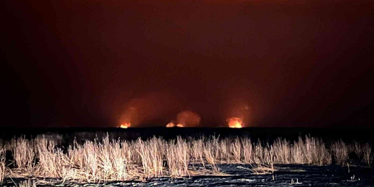 Eber gölünde yangınların ardı arkası kesilmiyor