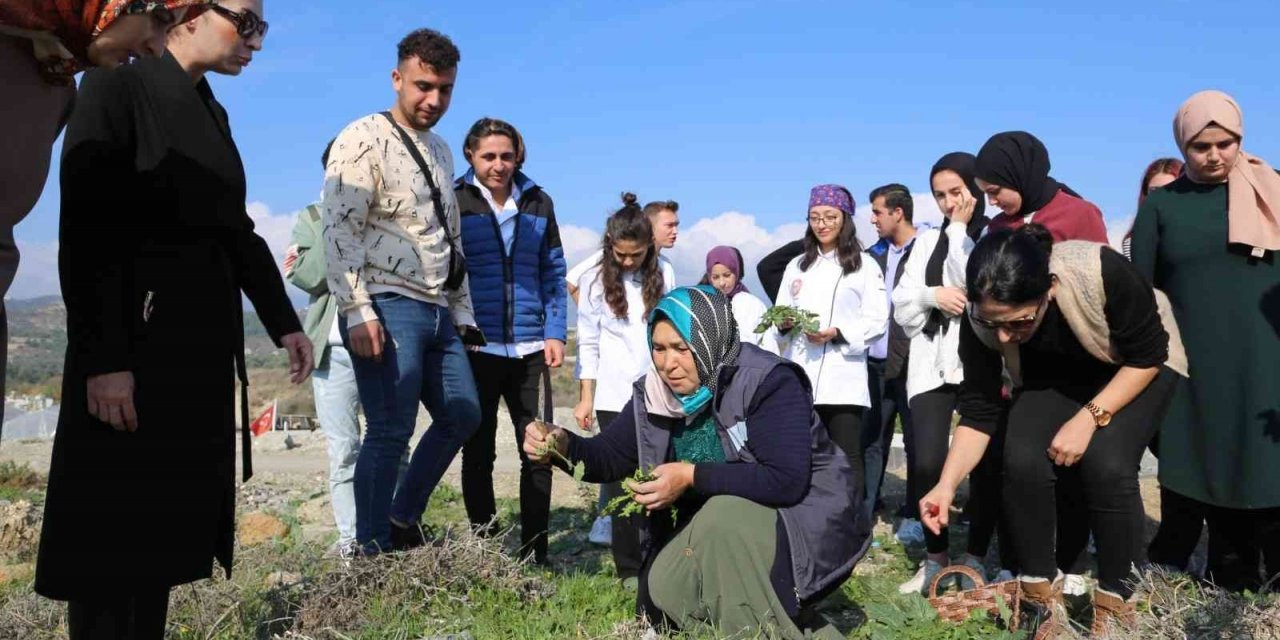 Üniversite öğrencilerine geleneksel tarım ve yenebilir otlar öğretildi