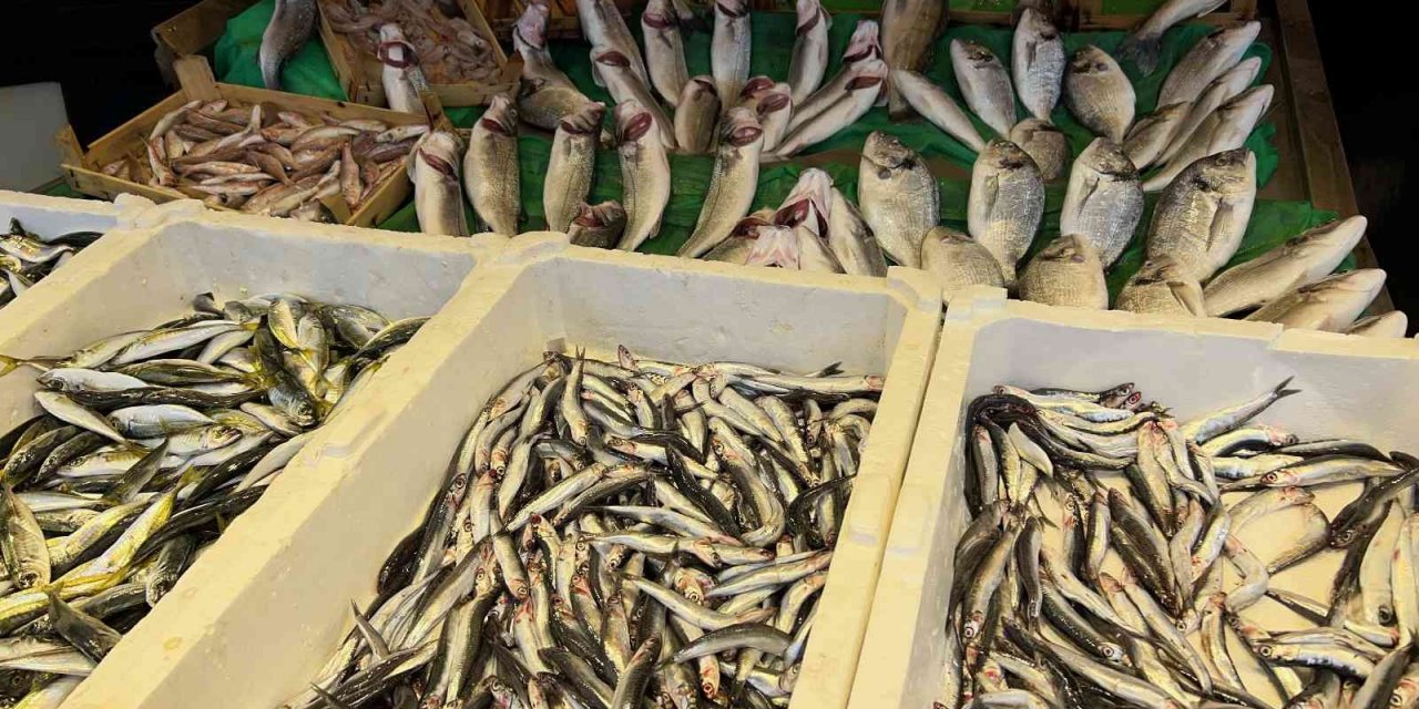 Balık tezgahlarında palamutun yerini çinekop ve hamsi aldı