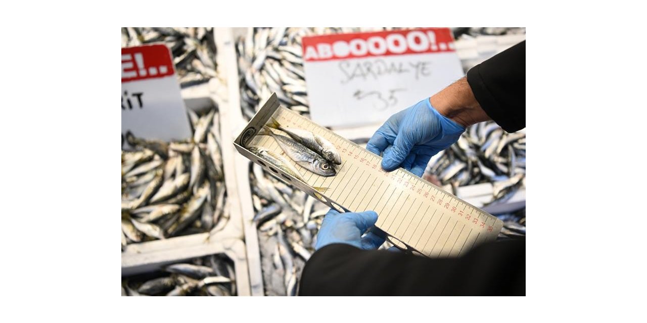 Kayseri’de balıkçılara denetim