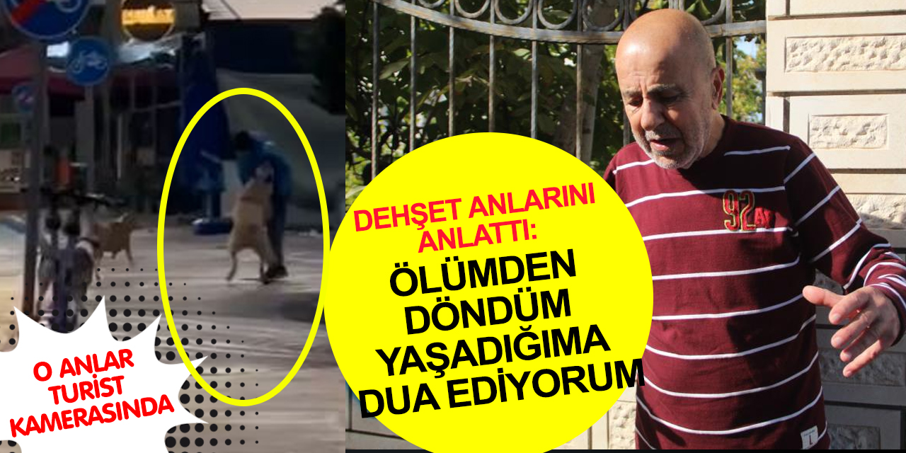 Başıboş köpek saldırısına uğrayan yaşlı adam dehşet anlarını böyle anlattı: Yaşadığıma dua ediyorum