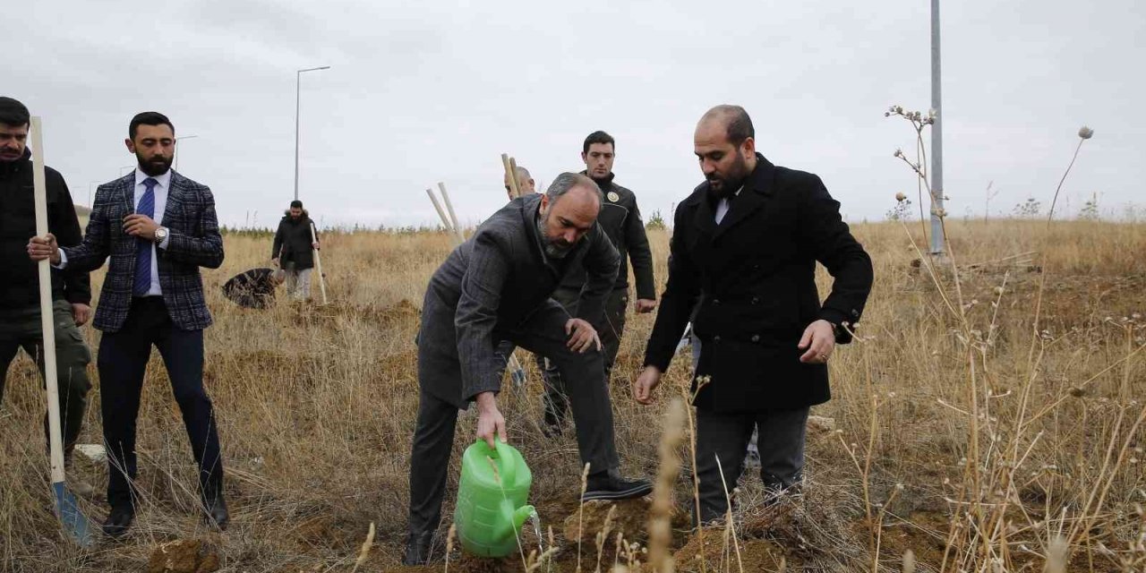 Baberti Külliyesi yeni ağaçlarla renkleniyor
