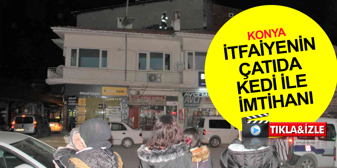 Konya’da itfaiye ekipleri çatıda mahsur kalan kediyi kurtarmak için seferber oldu