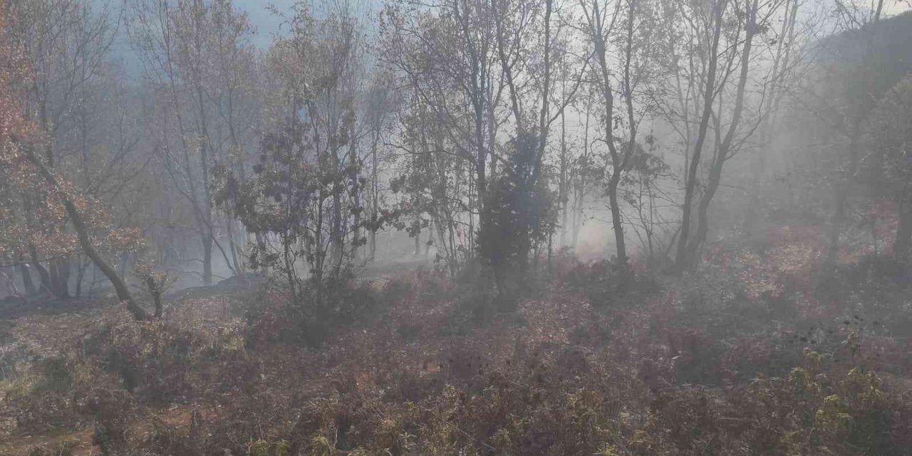 Osmaniye’de 1 dönümlük meşelik alan yandı