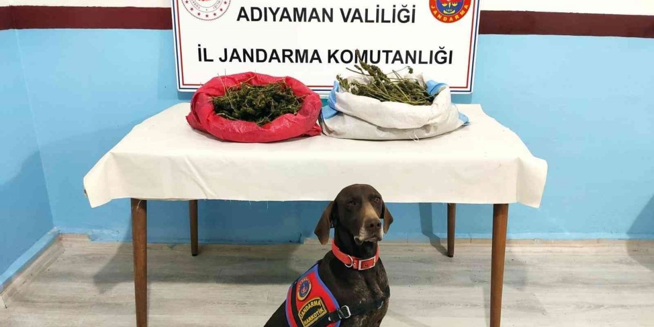 Jandarma uyuşturucu tacirlerine geçit vermiyor