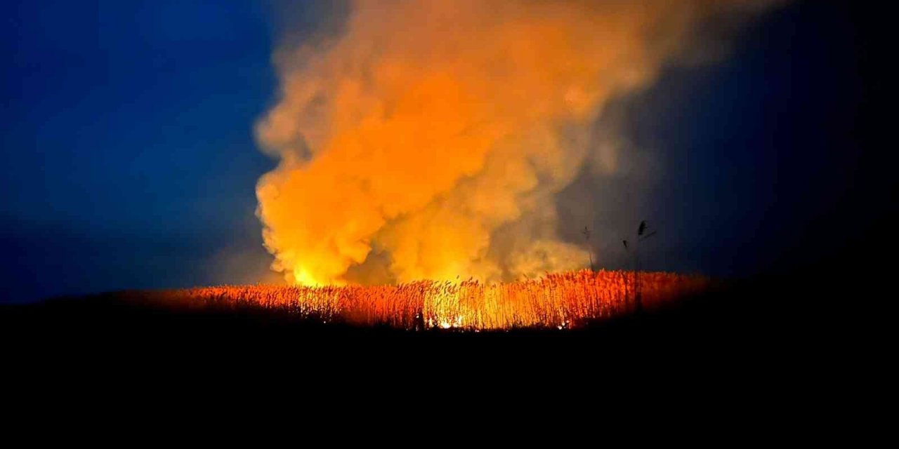 Eber Gölü’nde yine yangın