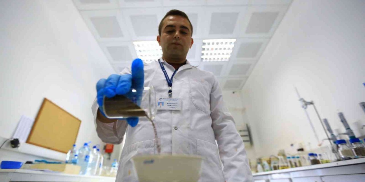 Büyükşehir Tarım Laboratuvarı 43 il, 2 ülkenin numunelerini analiz etti