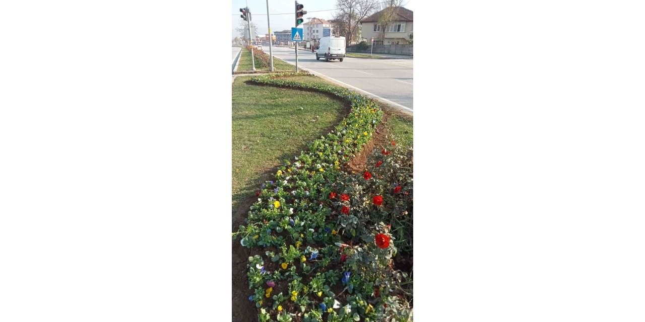 Düzce çiçeklerle güzelleşiyor