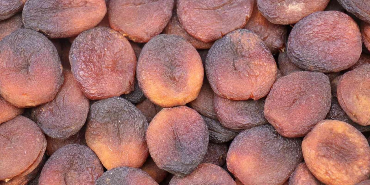 Kayısıda 11 ayda 350 milyon dolarlık ihracat