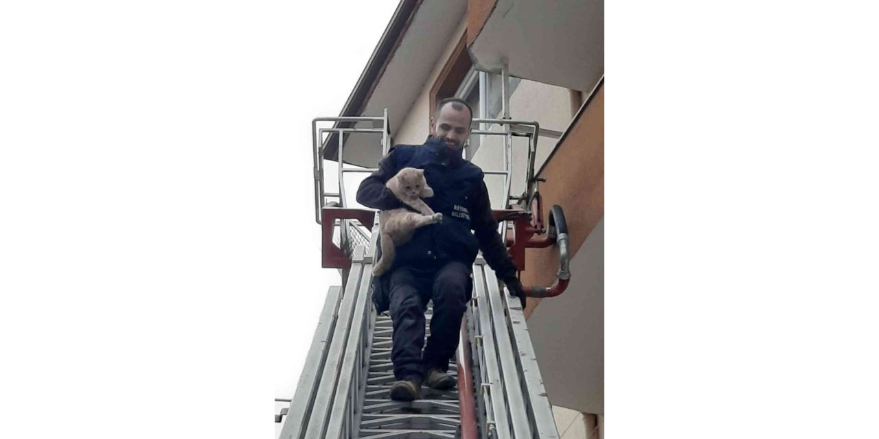 Balkonda mahsur kalan kediyi itfaiye ekipleri kurtardı