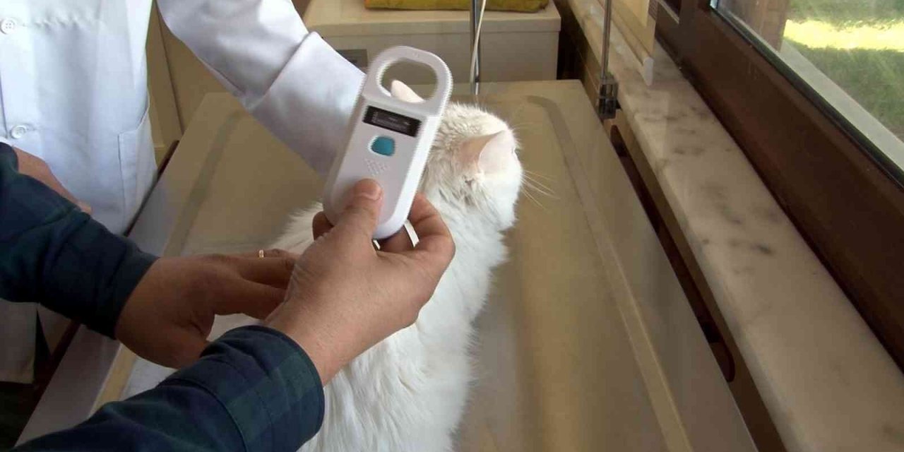 Kayseri’de 5 bin 512 evcil hayvana çip takıldı