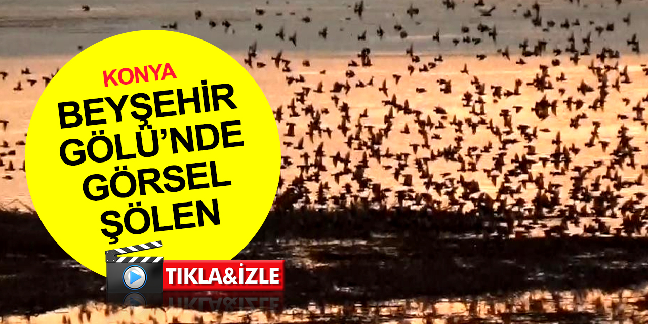 Konya Beyşehir Gölü’nde muhteşem gün batımı! Sığırcıkların görsel şöleni böyle görüntülendi