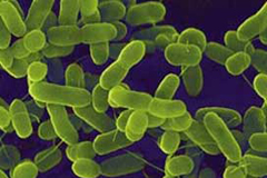 Çocuğunuzu bu virüsten mutlaka koruyun!