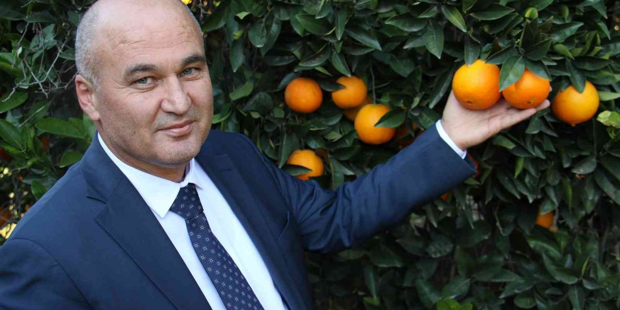 Mersin’de portakalda hasat başladı