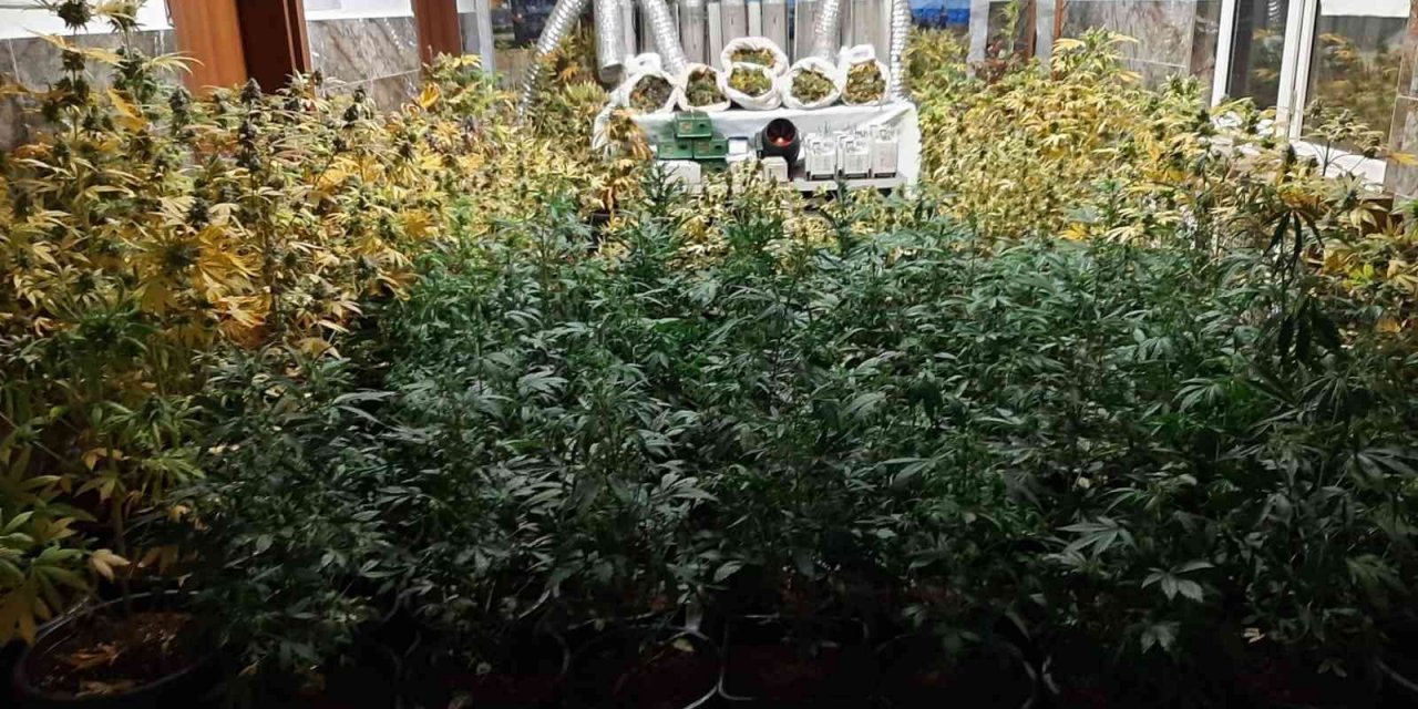 Kiralık evde uyuşturucu laboratuvarına jandarma baskını