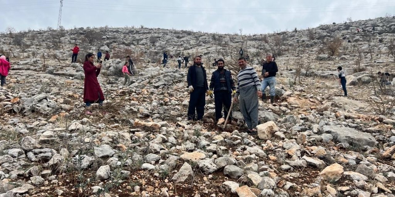 Köylülerin 3 yıldır süren ağaçlandırma seferberliği