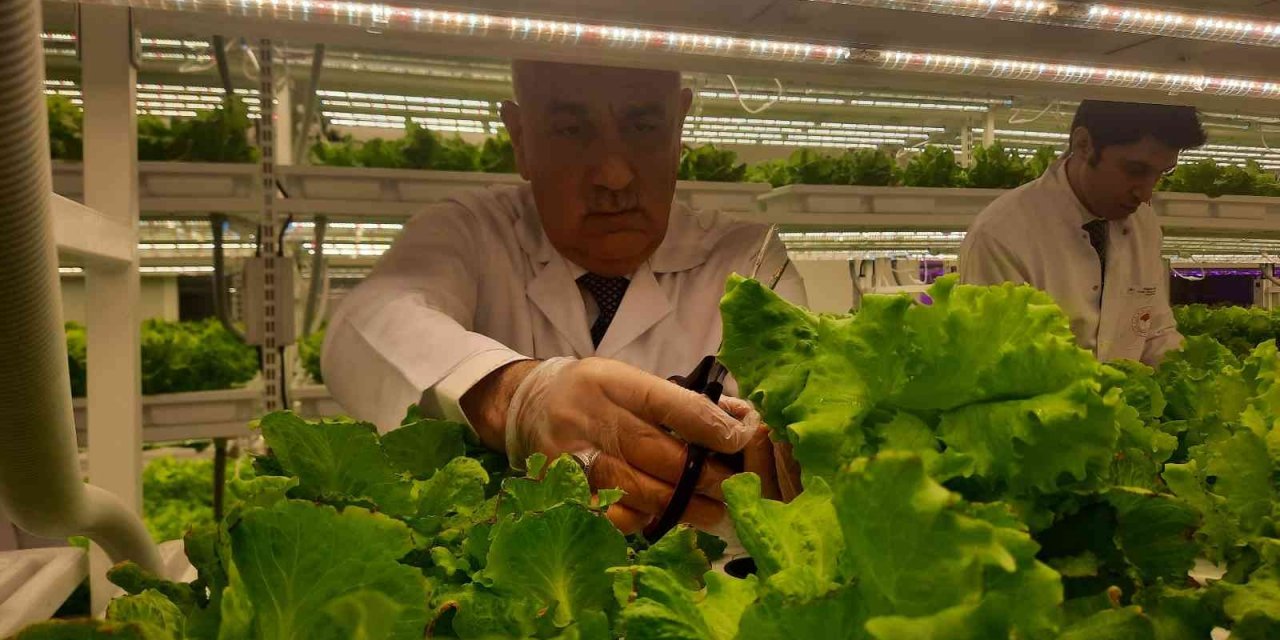 Dünyanın 2’nci dikey tarım merkezi, Tarım ve Orman Bakanı Vahit Kirişci tarafından İstanbul’da açıldı