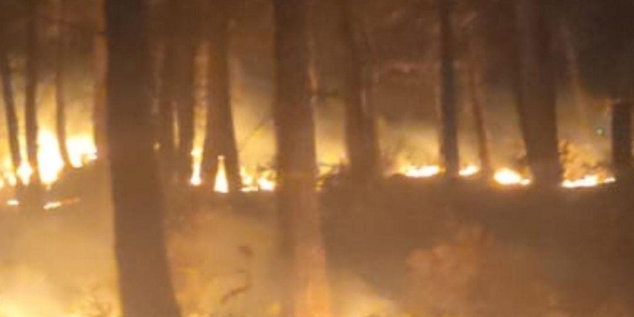 Osmaniye’de orman yangını